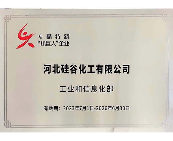 專(zhuān)精特新小巨人企業(yè)